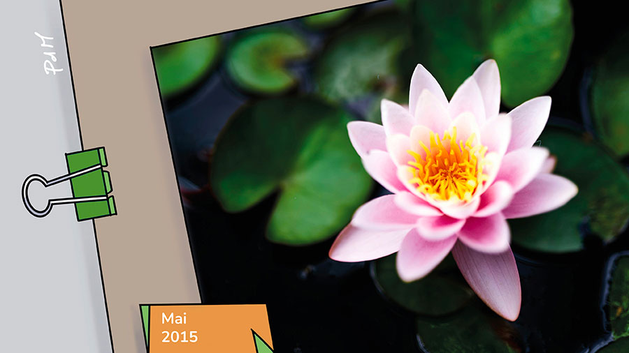 05p Presence Absence Poesie W