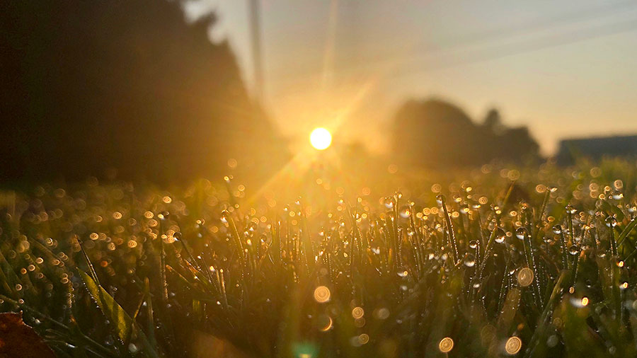 05 22 Mdm Discernement Spirituel W