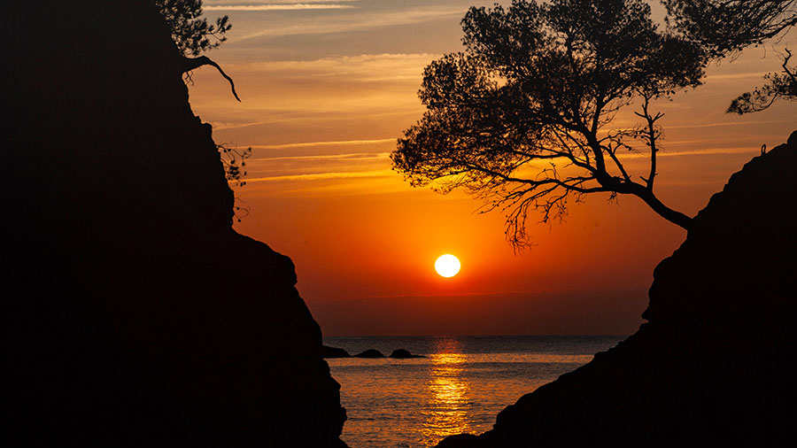 10 15 Mdm Fortifie Toi W