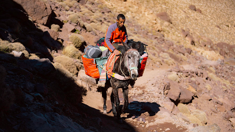 07 20 Mdm Portez Les Fardeaux Les Uns Des Autres W