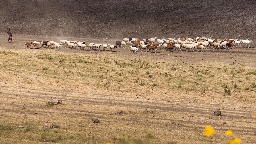 09 11 Mdm Jacob Marche Avec Dieu W