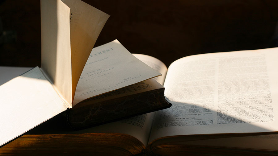 04 02 Mdm Verite Et Justice W