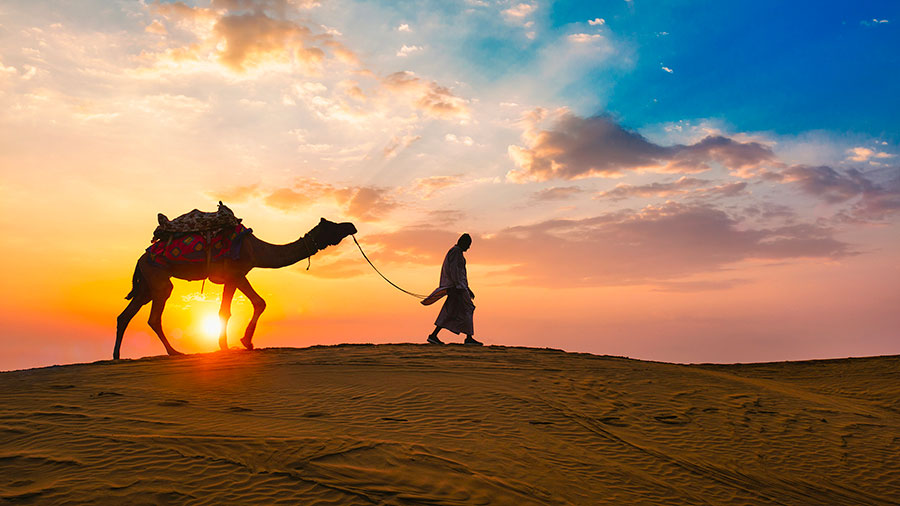 04 18 Mdm Foi Et Obeissance W