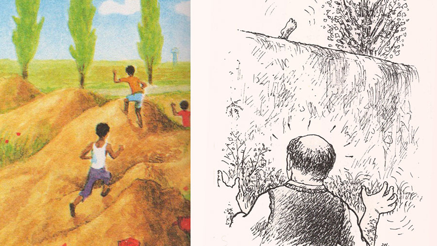 Sebti 11 Coup Du Lapin W