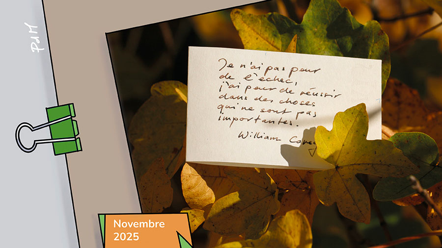 11p Echec Reussite W