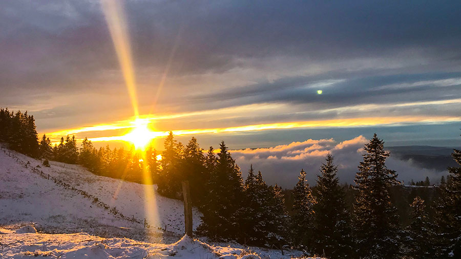 01 25 Mdm Affaire Du Roi W