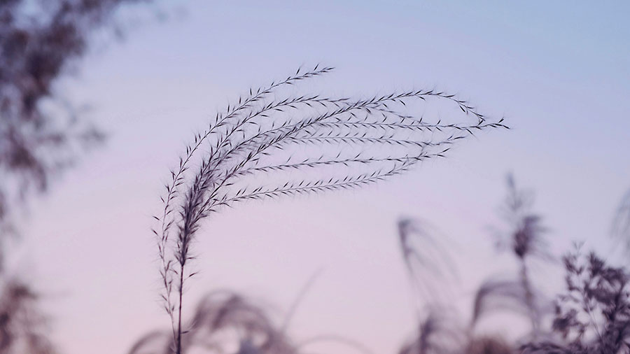 02 27 Mdm Renoncer a Soi Meme W