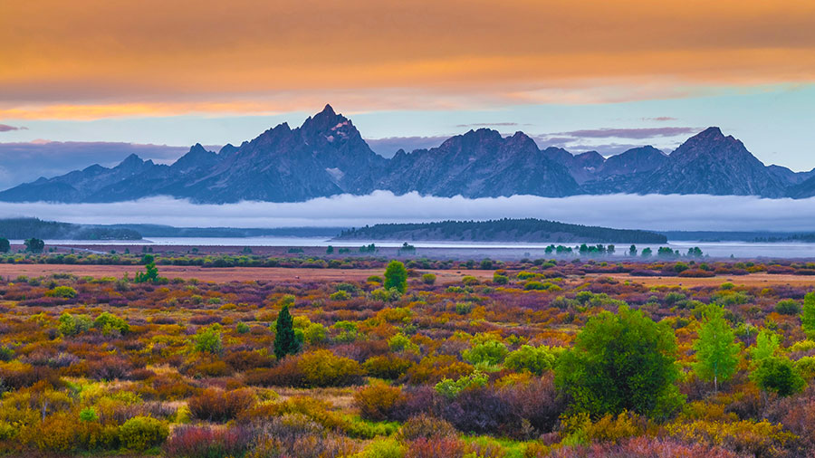 10 21 Mdm Destine Cachee W