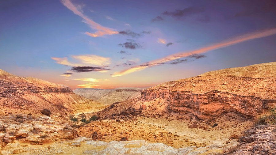 10 14 Mdm Nous Agissons Pas Bien W