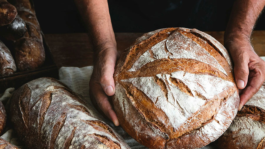 01 24 Mdm Jesus Nourrit Foule W