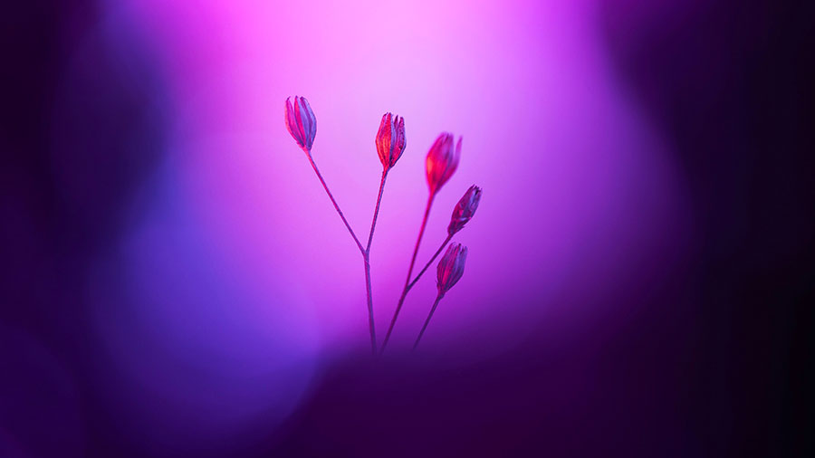 Sinceres Condoleances W