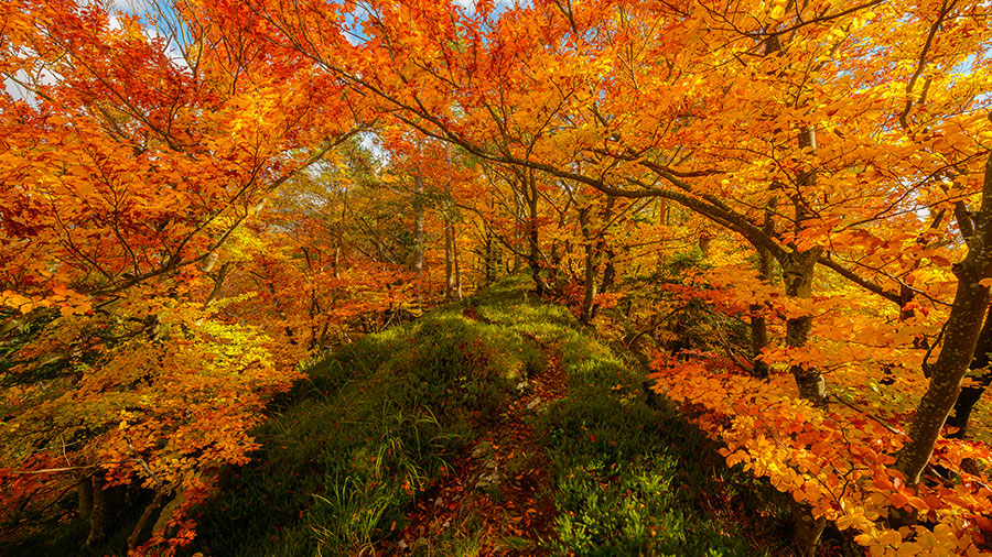 10 08 Mdm Dieu Nous Comble De Ses Dons W