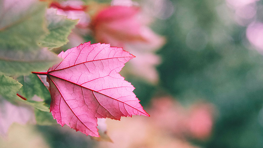 10 01 Mdm Onction Saint Esprit W