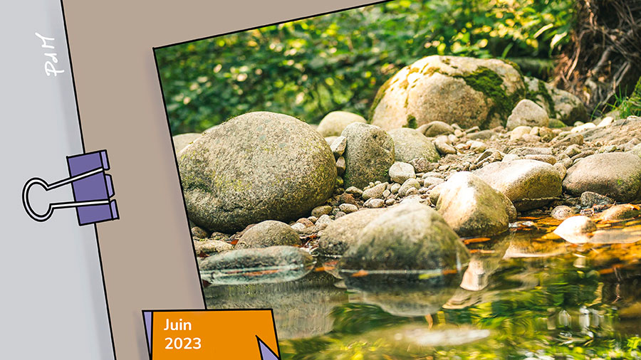 06p Enfants De Dieu Araignees Eau W