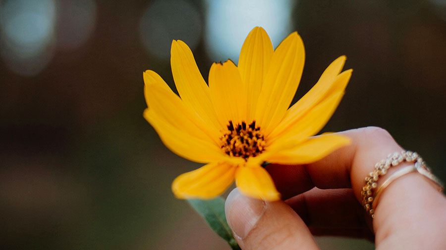 02 14 Mdm Ayez Sentiments De Christ W