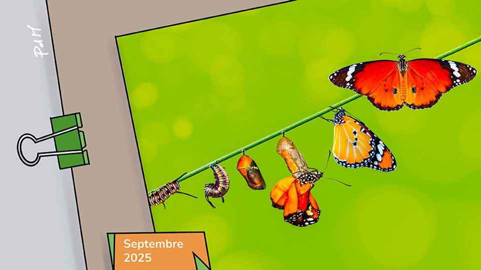 09p Metamorphose W