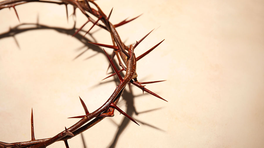 10 18 Mdm Jesus Homme Parfait W