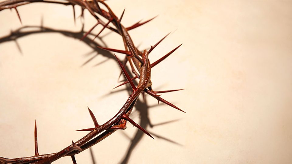 10 18 Mdm Jesus Homme Parfait W