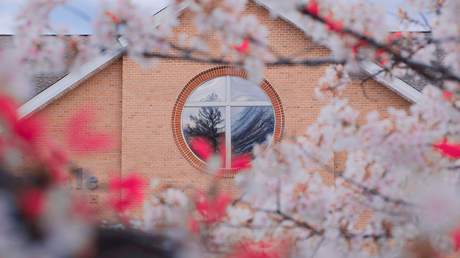 10 27 Mdm Croix Et Jardin W