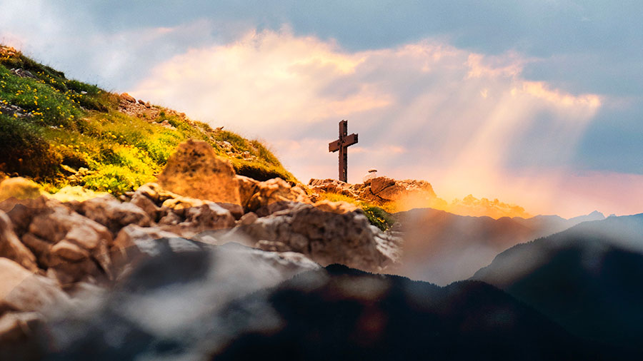 Un Paquet De Verite W