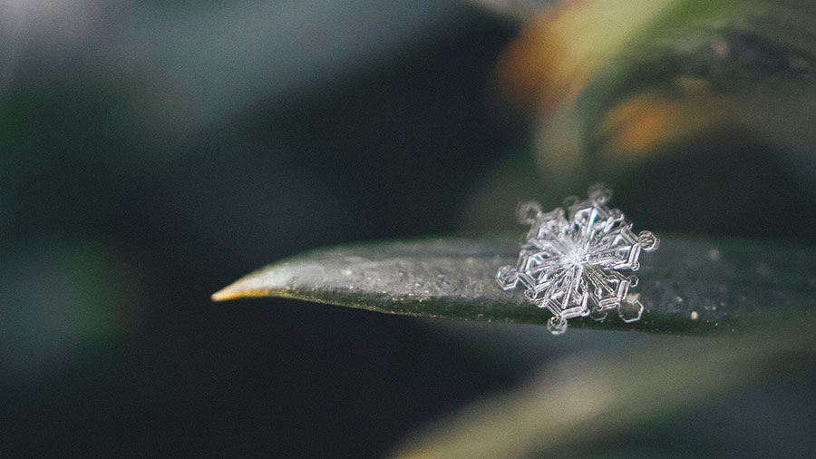 01 26 Mdm Faiblesse Et Onction Royale W