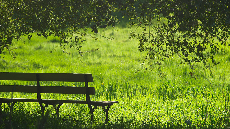 10 04 Mdm Venez a Moi W