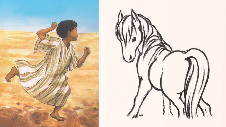 Sebti 02 Poney W
