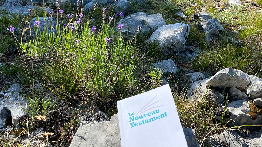 Qui Cherche Trouve W