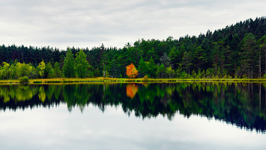 05 23 Mdm Il Me Dirige Pres Des Eaux Paisibles W