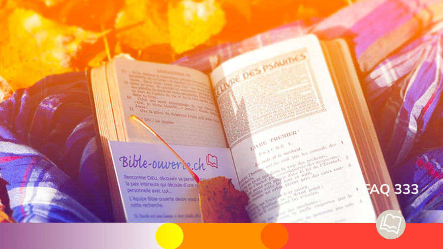 FAQ 333 Exaucement De Priere W