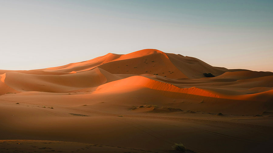 01 12 Mdm Lutte De Jacob W