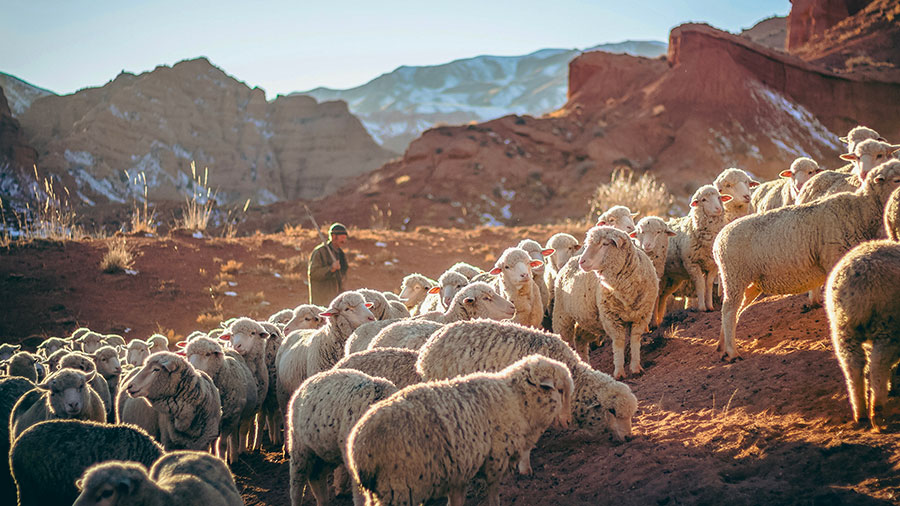 05 15 Mdm De Qui Es Tu Fils W