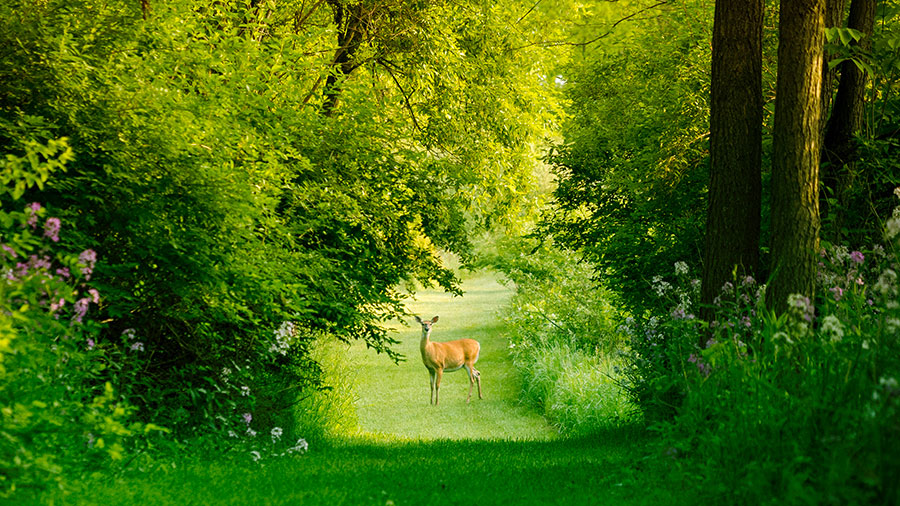 08 01 Mdm Faire Route Avec Jesus W