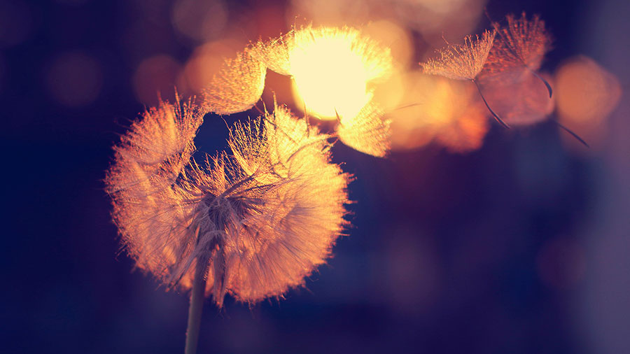 07 10 Mdm Perdre Sa Vie W