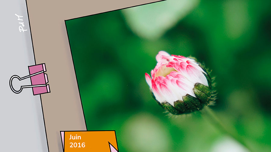 06p Invisible Noeud Du Royaume W