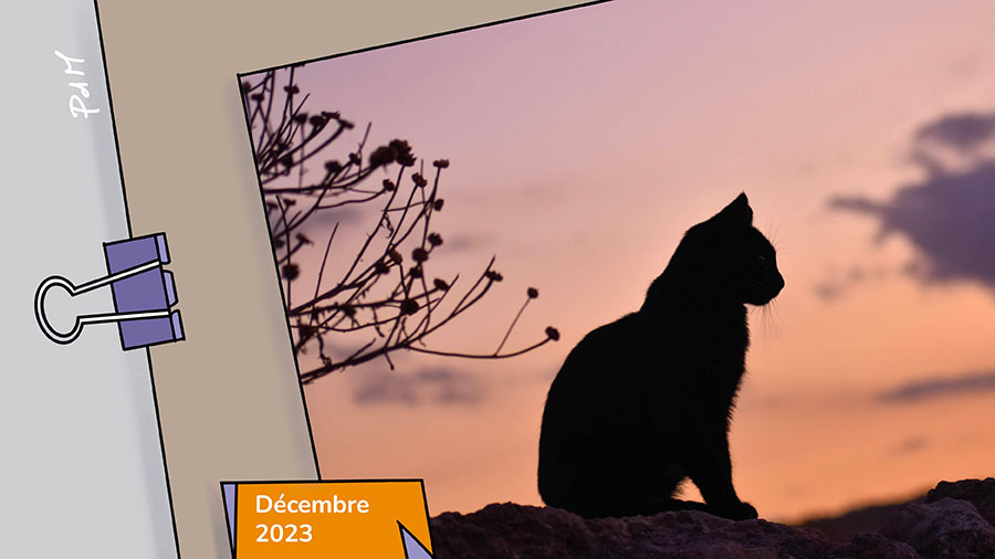 12p Guetter Affleurements Grace W