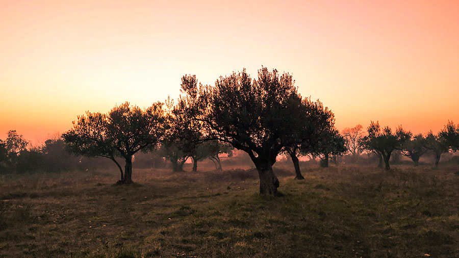 10 20 Mdm Jesus Lui Dit Marie W