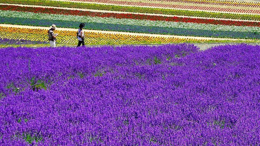 07 27 Mdm Si Deux Seulement Deux W