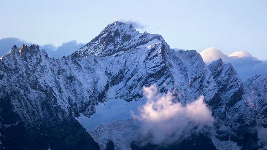 01 05 Mdm Huile Joie W