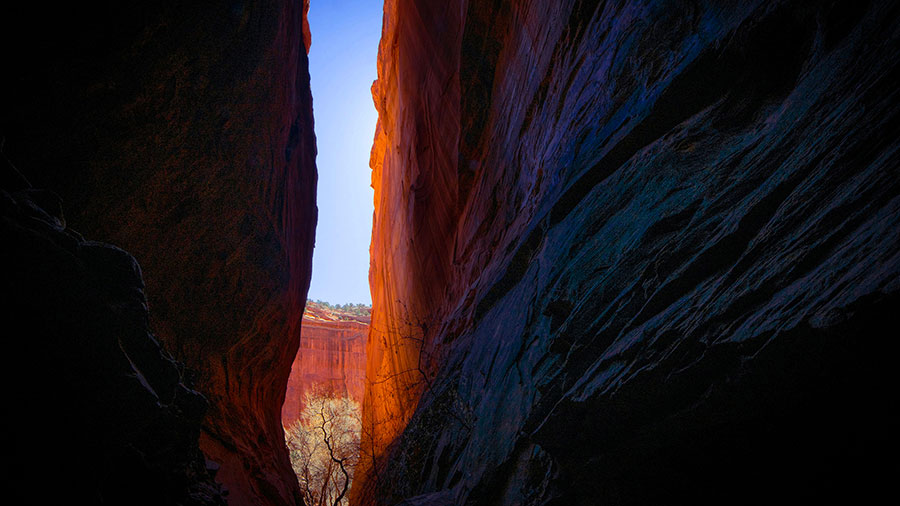 02 10 Mdm Vallee Ombre Mort W