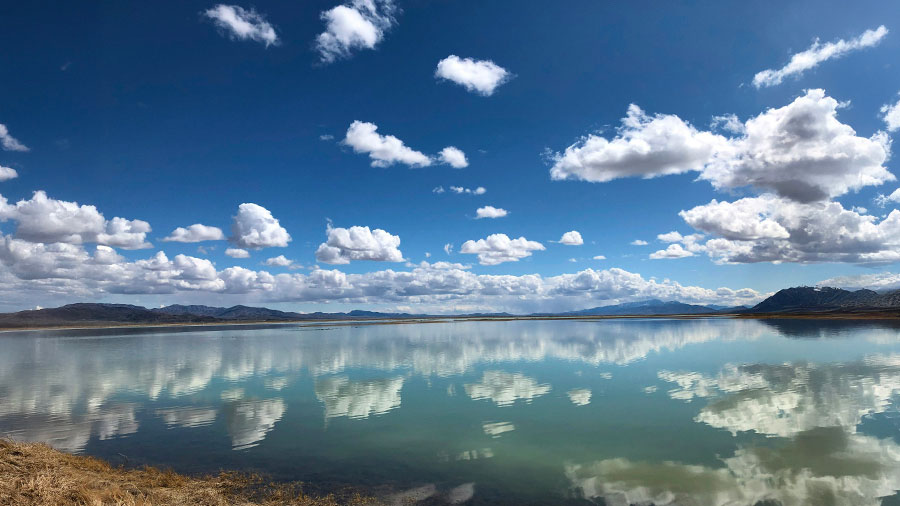 10 30 Mdm Sagesse En Haut W