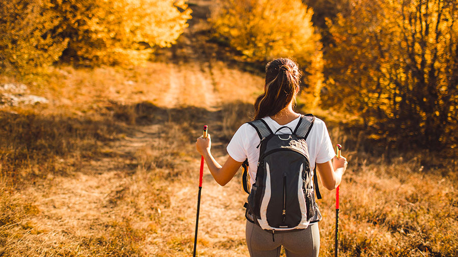 11 25 Mdm Faire Chemin a Pied W