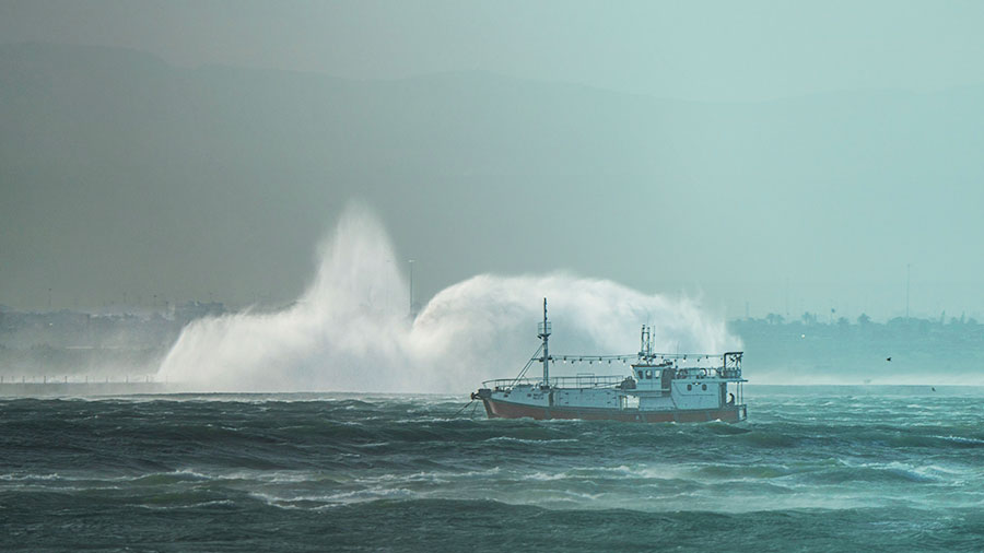 11 05 Mdm Reveillons Nous W