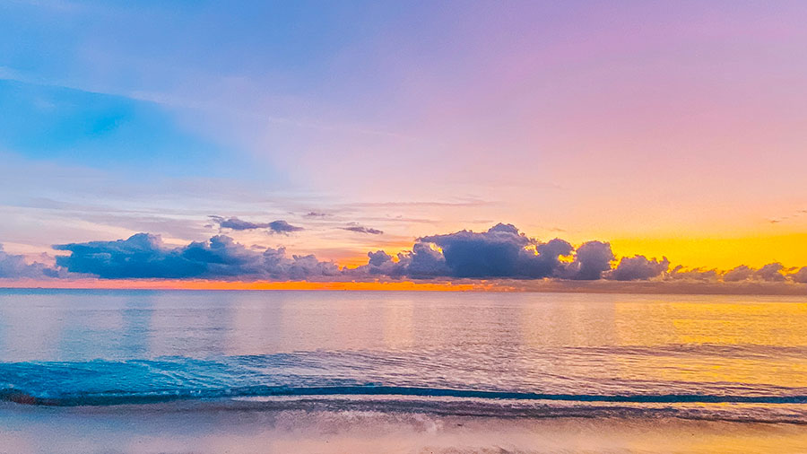 07 01 Mdm Nouveautee De Vie W