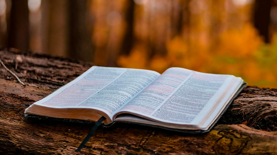 09 20 Mdm Parole De Dieu W