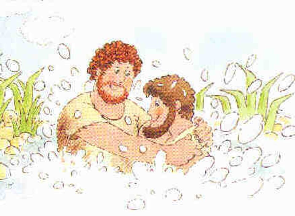 Bible40a