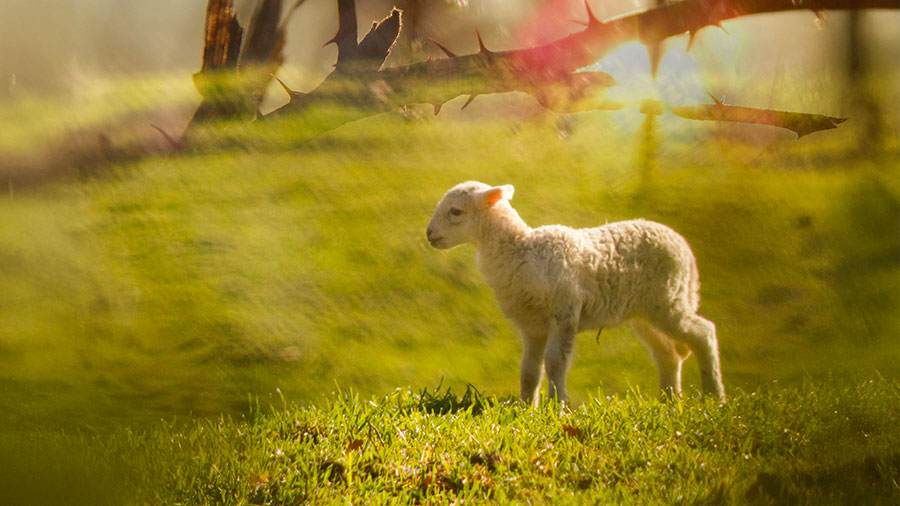 08 13 Mdm Si Vous Souffrez W