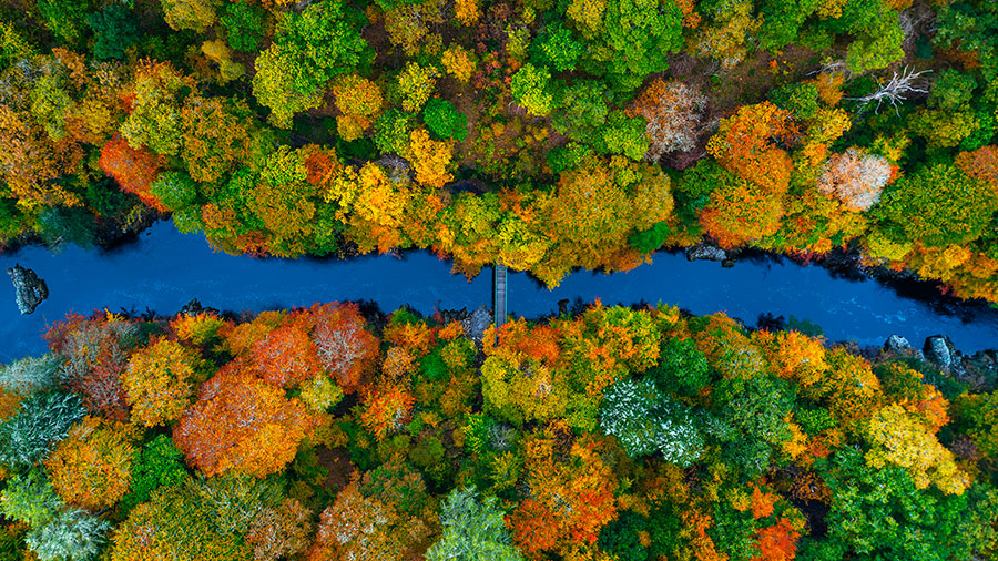 09 28 Mdm Faites Aux Autres W