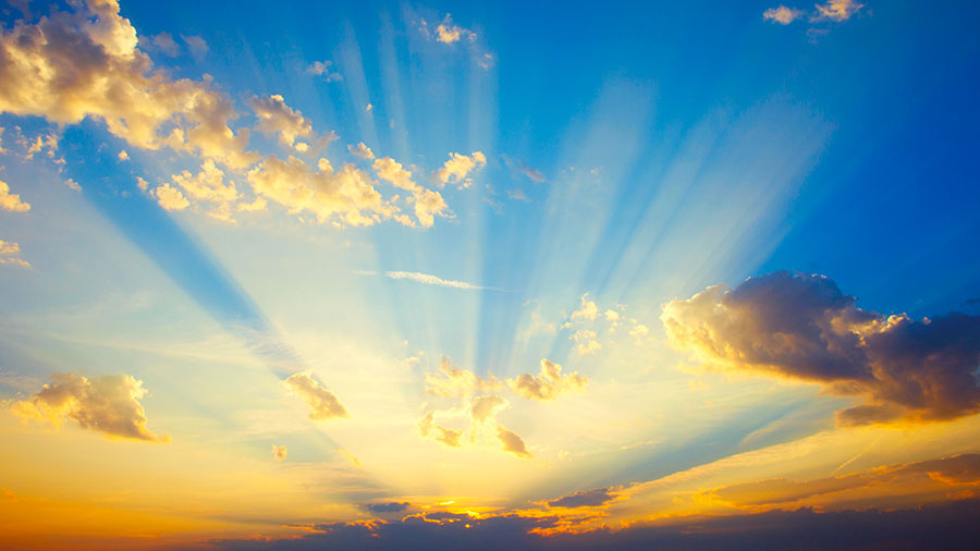 07 08 Mdm Couronne De Gloire W