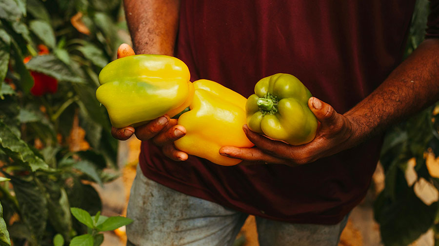 10 07 Mdm Obeir En Toutes Choses W